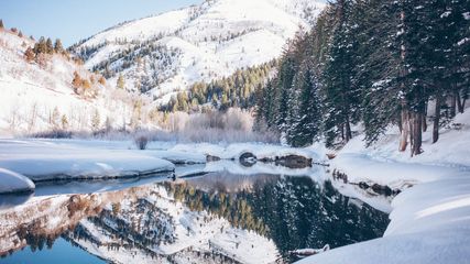 Experience the Magic of Winter in India's Diverse Landscapes