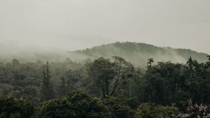 Dive into the Heart of Nature at Agumbe: Rainforest and Waterfalls