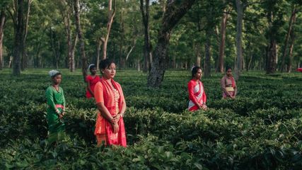 Was Assam Part of Myanmar? Unveiling the Controversy and Dispelling the Myth