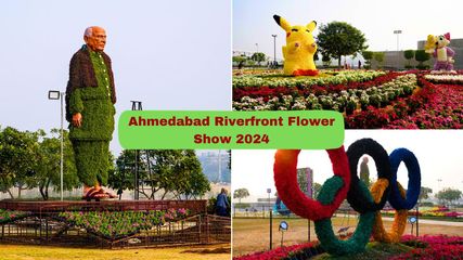 Ahmedabad Riverfront Flower Show 2024: Know timings, ticket prices, and how to reach with images