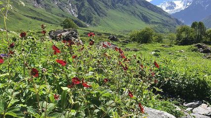 Unveiling the New Road: A Gateway to Easier Treks in Uttarakhand