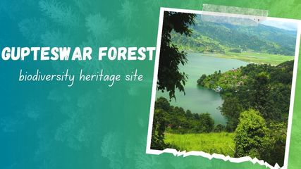 Gupteswar Forest in Odisha Declared as a Biodiversity Heritage Site