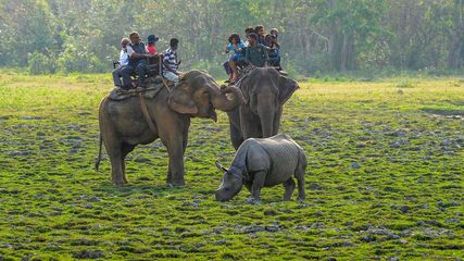 From Kaziranga Safaris To Historic Unveilings: Modi's Assam Itinerary