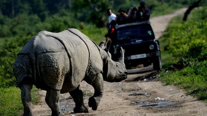 Assam to Introduce New Law to Promote Tourism and Adventure Safety