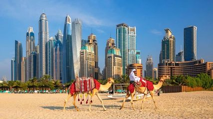 Ultimate Guide On Dubai's Flight Insurance For Single And Multi Trips In 2024