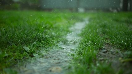 Karnataka's Forecast: Moderate Rain Across Multiple Districts