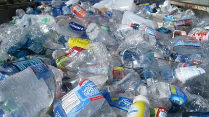 Odisha To Enforce Single-Use Plastic Ban In Eco-Tourism Spots 