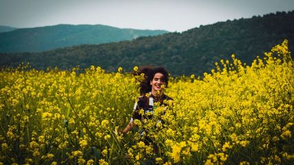Tourists Explore Kashmir's Mustard Fields Alongside the Tulip Garden as Spring Arrives