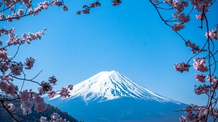 Air India's Latest Move: Travel to multiple destinations in Japan on a single ticket