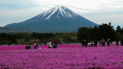 Mount Fuji Selfie Spot Blocked: Japan's Response to Unruly Tourists