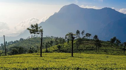 Heatwave Hits Hill Station: Ooty Sizzles with Record Temperature, Highest-Ever