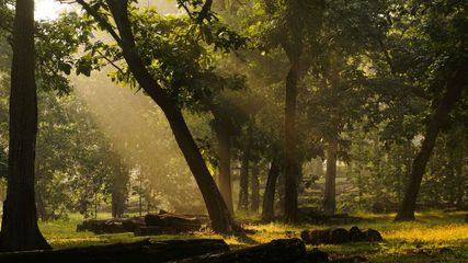 Explore Dandeli: Karnataka's Hidden Gem Of Adventure And Peace