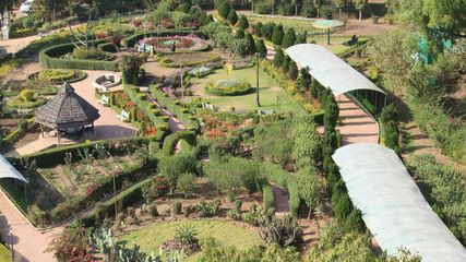 Madhya Pradesh's Serene Hill Stations: Your Next Summer Retreat