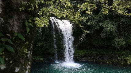 Monsoon Calling: Explore the Best Waterfalls Near Bangalore for a Tranquil Escape