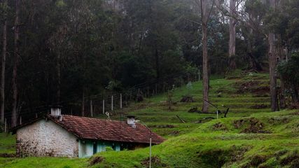 Experience The Best Of Kodaikanal: Adventure And Leisure Awaits