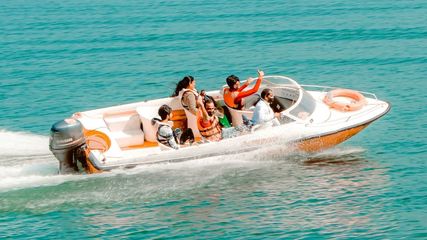 Embrace Eco-Friendly Tourism With This Wayanad 2 Days Travel Itinerary