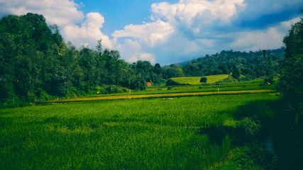 Your Ultimate Guide To Coorg 2024: Must-Visit Destinations Revealed