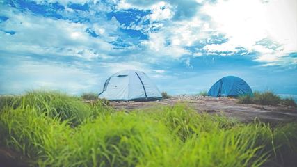 Must Visit These Unexplored Places in Wayanad, Kerala For Monsoon 2024