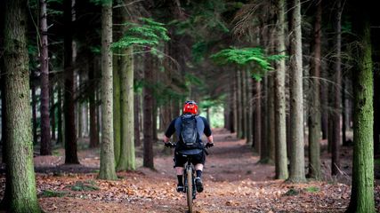 Enjoy Srinagar's Outdoor Adventures: Explore the Best Mountain Biking and Hiking Trails