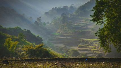 Best Places To Visit In Araku Valley In 2024