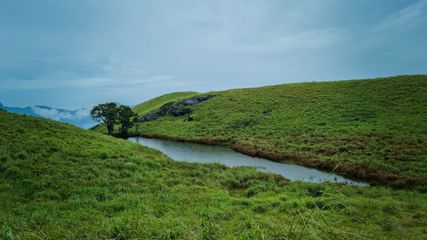 Wayanad: Best Tourist Places To Visit In One Day