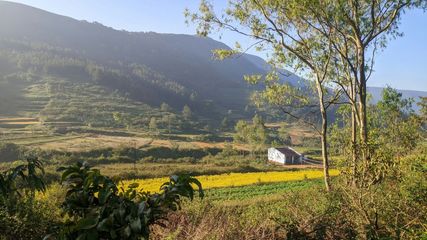 Best Places To Visit In Araku Valley In One Day