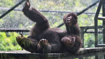 Alipore Zoo Introduces Braille Boards For Visually Impaired