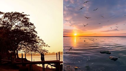 Exploring the Serenity of Ousteri Lake: A Nature Lover's Paradise in Pondicherry 