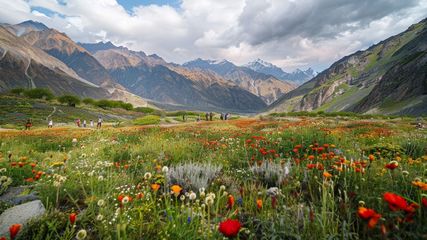 Explore the Hidden Wonders of the Valley of Flowers in Uttarakhand Before It Closes