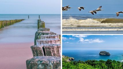 Relax and Rejuvenate: Uncover Tamil Nadu’s Most Serene Beaches 