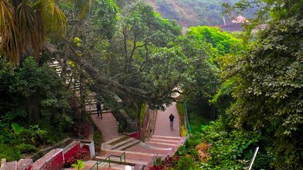 Weekend Getaway from Bangalore to Coorg: Best Activities and Food