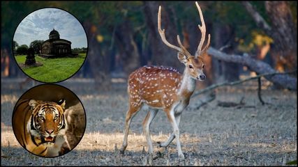 Weekend Escapes from Kolkata: Where to Go for a Perfect Getaway