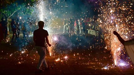 Diwali 2024: Haryana Bans Traditional Firecrackers for Gurpurab Also, Check Timings for Green Crackers
