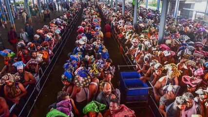 Sabarimala Pilgrimage Update: TDB Limits Irumudikettu Contents, Prohibits 3 Items; Check the List