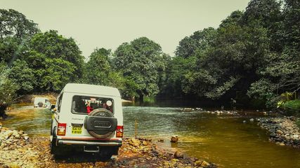 Goa's Dudhsagar Falls Jeep Safaris Resume: Adventure Awaits in Scenic Wilderness