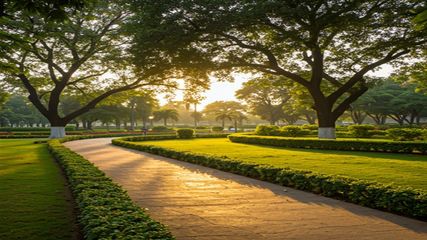 Ahmedabad to Get One More New Oxygen Park with 75,000 Trees; Check Location