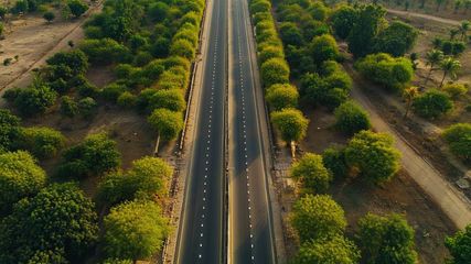 Ahmedabad, Detroj to Plant 1.5 Lakh Trees to Restore Ecological Balance, Here is The Deadline