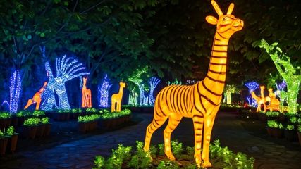 Ahmedabad Inaugurates New Glowing Night Park; Enjoy Free Entry During Flower Show 2025