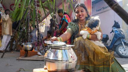 Explore The Vibrant Celebrations Of Pongal Festival In Tamil Nadu
