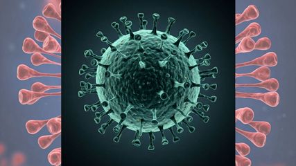 Sikkim Issues Health Advisory on HMPV Virus, Launches Awareness Campaign 