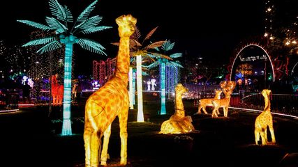 Ahmedabad Flower Show 2025 Extended for Visitors Until the New Closing Date