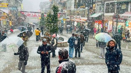 Fresh Snow Blankets Shimla, Dalhousie, and Narkanda; Cold Wave Intensifies, Road Closed