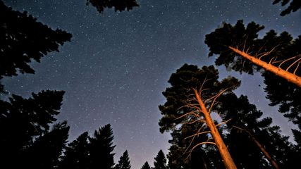 Jim Corbett National Park Launches New Observatory for Stargazing Enthusiasts