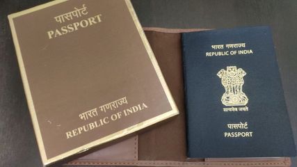 Passport Seva 2025: How to Update Your Passport Photo Easily