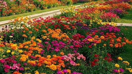 Noida Vasant Utsav 2025: Know the Dates, Entry Details to Enjoy the Grand Flower Festival