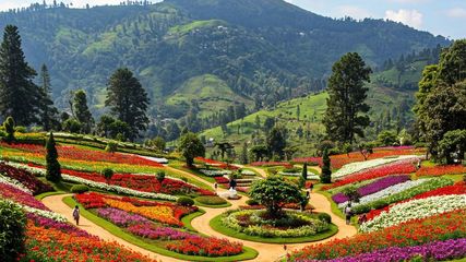 Tamil Nadu to Get Two New Tourism Projects in Ooty and Mamallapuram