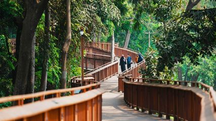 Mumbai’s First Tree Top Walk at Malabar Hill Opens to Visitors; Check Timings and Entry Fees