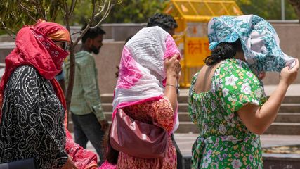 Heatwave in Hyderabad: Government Issues Safety Advisory for Public