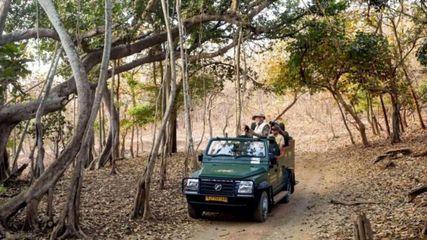 In Pics: PM Modi Enjoys Lion Safari at Gir Wildlife Sanctuary on World Wildlife Day