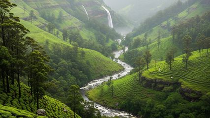 Red Alert Issued in Nilgiris: Record Rainfall Shuts Down Tourism, Tourist Entry Banned